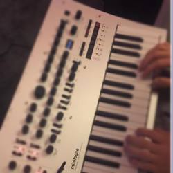 synthjam:  Korg Minilogue ….. #synth #synthjam