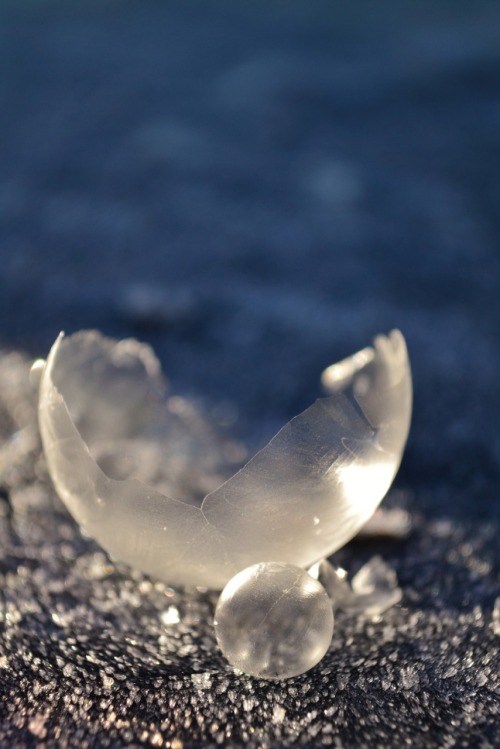 crookedindifference:  This Is What Happens When You Freeze Bubbles