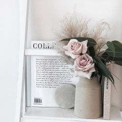 https://web.stagram.com/coco.camellia_