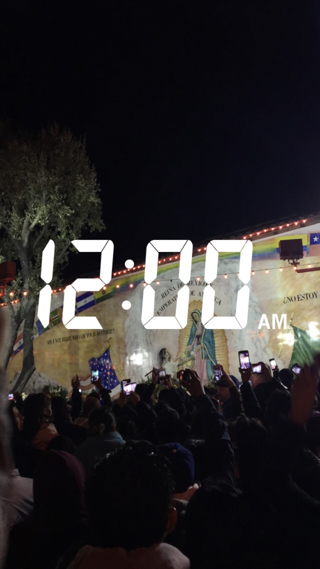 viva-los-angeles:  Feliz cumpleaños a La Virgen De Guadalupe