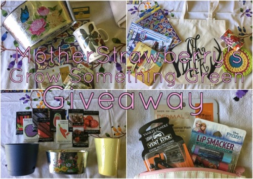 motherstrawberry: It’s Giveaway Time! Been a while since we did one of these, and tumblr just 