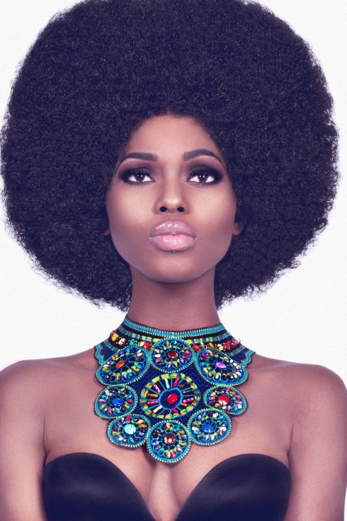 Beautiful afro hairstyle