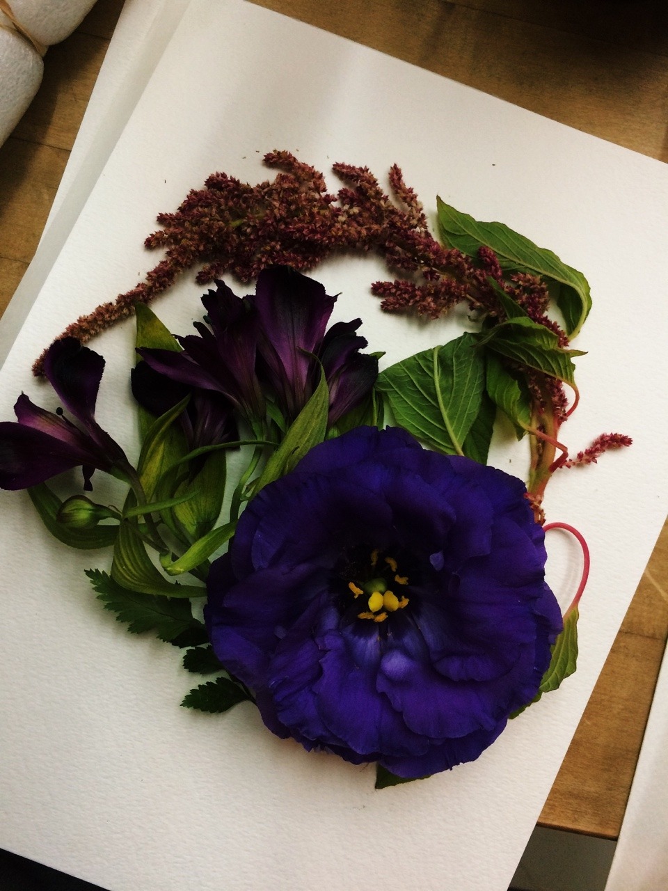 lickgold:  Compressing flowers, my creations so far 