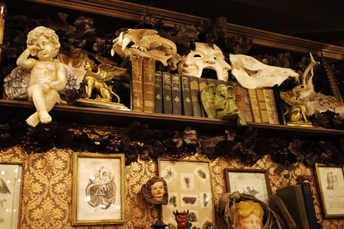 cemeterywind:  Grimoire, an amazing clothing and antique shop in Tokyo. Or, what the inside of my brain looks like.