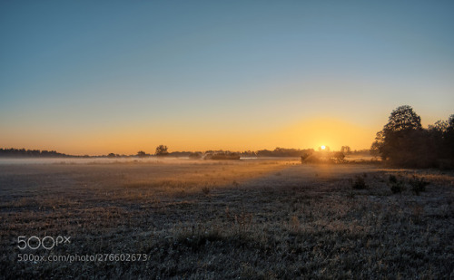 Sunrise over the meadow by ptaki