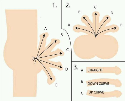 monkeysaysficus:  link6echo:  link6echo:  chrishotrod2000:  Will all my followers please complete this.I am: Between 1)B & C, 2)C & 3)CEveryone else?  I’ve never seen this before…1. D2. C3. B  @monkeysaysficus There ya go ^_^  Ooh!I guess