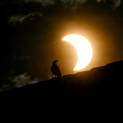 XXX detailedart:Total (nearly) solar eclipses photo