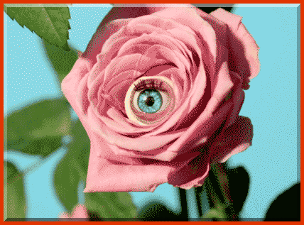 AnnabelleHector'sWorldOfWeird