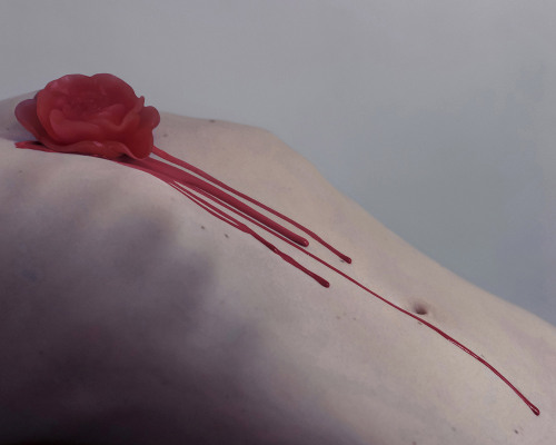 reginasworld: Brooke DiDonato