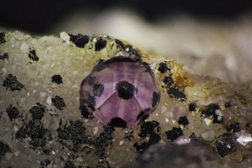underthescopemineral:  Fluorite, Hematite, Quartz CaF2, Fe2O3, SiO2Locality:Les Meix, Rupt-sur-Moselle, Remiremont, Upper Moselle Valley, Vosges, Grand Est, France Field of View: 4.38 mm Complex specimen crystallization. Some hematite inclusions are on