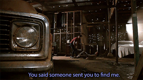 Scott McCall, Alpha Werewolf And Veterinary Nurse, Was Living A Relatively Normal Life Until His Mother