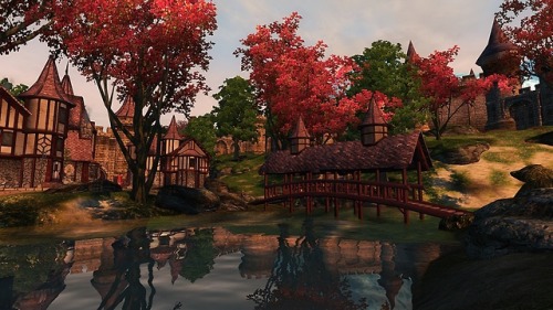 mazurah: Cities of Cyrodiil: Cheydinhal“The first impression of the visitor to Cheydinhal is o