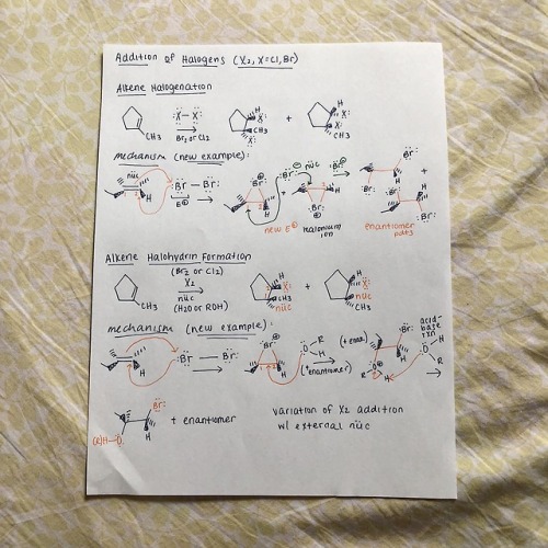 cyclicstudies: Organic Chemistry: Electrophilic Additions to Alkenes Hey all! I wanted to put togeth