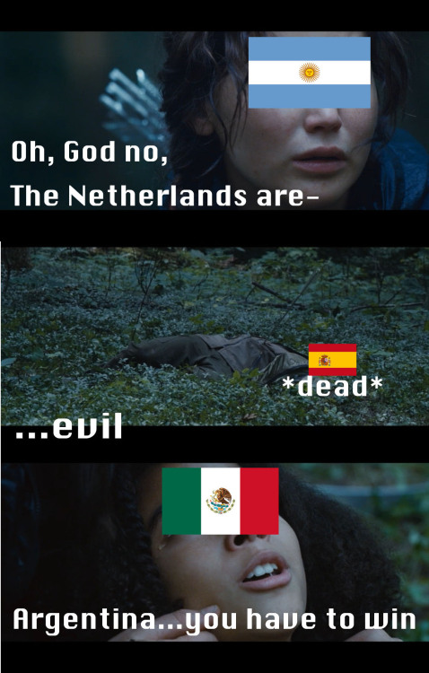 notfunnynotcool:  World cup as the hunger games, waiting to see who will win the world cup!!!!