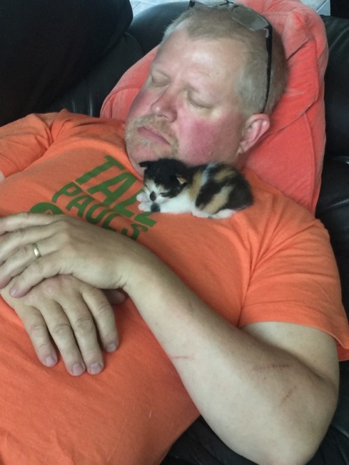 awwww-cute:“No. I don’t want to hold a kitten.” (Source: http://ift.tt/2sa9bUe)