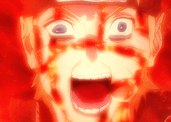 The Naruto Fandom.