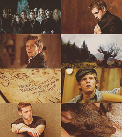 deanwinchesterandhispie:   Marauder’s Era Dreamcast ♠   ↳  Jamie Bell as Peter Pettigrew 