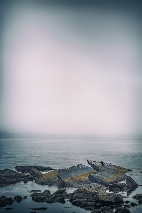 thepictorialist:On the way home…—Washington Strait of Juan de Fuca 2014