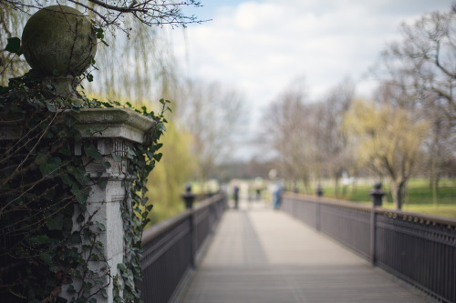 becomingkitten:  street-photography-london:The four season’s of Regent’s Park A blog post for the Anonymous user who wrote to me about London’s Regent’s Park recently. It has a charm, peacefulness and poetry that Hyde Park get’s nowhere near