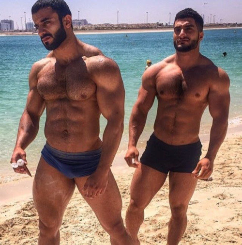 arabclub