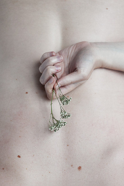 sittenlos:  193/365 by elsvo 