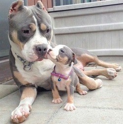 awwww-cute:Father and son love