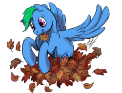 askdivebomb:  askdrakomod:  First day of the 31 day Halloween challenge!! spoopyartchallenge October first: Fall Leaves So here, have some adorable Divebomb playing with leaves :3  Relevant because it’s Divebomb  Cute &lt;3