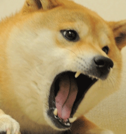 Sex sshibe:  [ SHIBEING INTENSIFIES ]  pictures