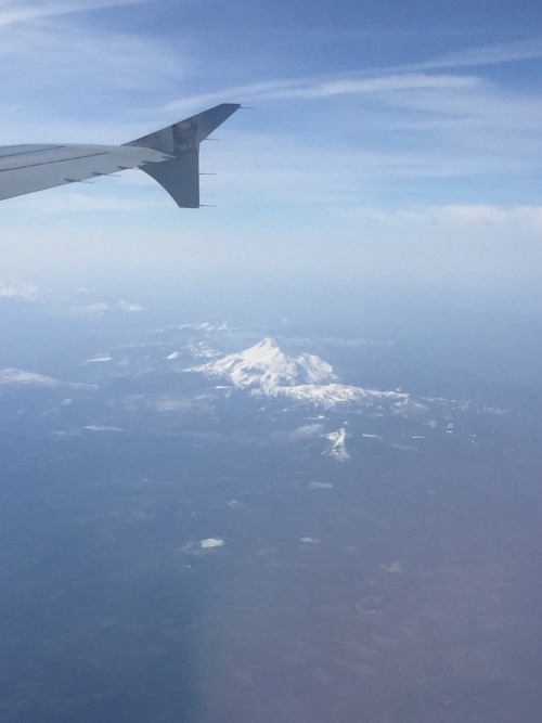 Mountains from my airplane window: Mt. Rainier, Mt. St. Helens, Mt. Adams, and Mt. Hood.