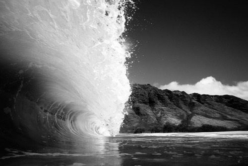 lanceakamine:Hollowave #ufc #hawaii #holloway #congrats . . . #hilife #surfphotography #shorebreak #