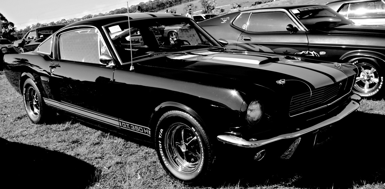 musclecarinstant:  old dark 
