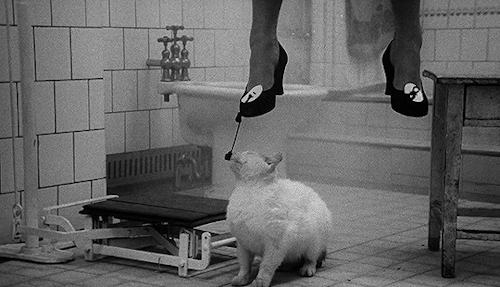 valerieandherweekofwonderz:“What if I hanged you, my dearest?”Spalovač mrtvol / The Cremator (1968),