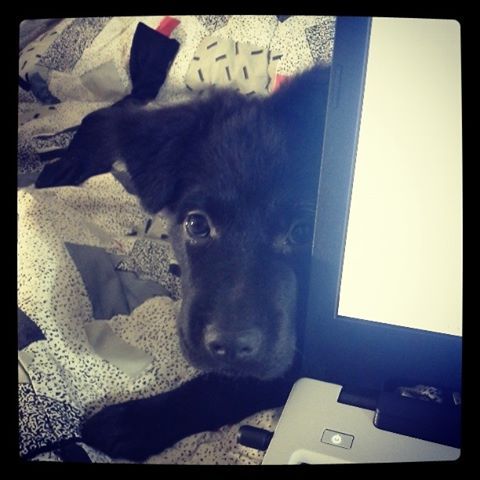 Wutchaaaa doin Auntie?? &hellip;I needa check mah tumbllrrrr. :3