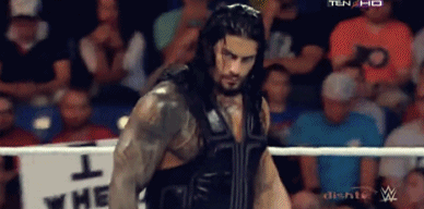 all-day-i-dream-about-seth:  jackthesinisterjakethejust:  skyhighrollins:  raphie-loves-the-shield: