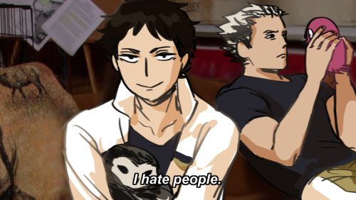 alcieart:akaashi loves owls more than he loves people and bokuto realizes his owl is actually a stuffed owl [x]