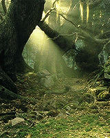elvenking:  Welcome to Middle-Earth  ☼ adult photos