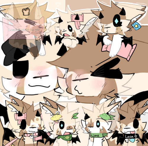 All My Pets.