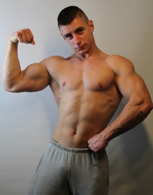 Scally Pig