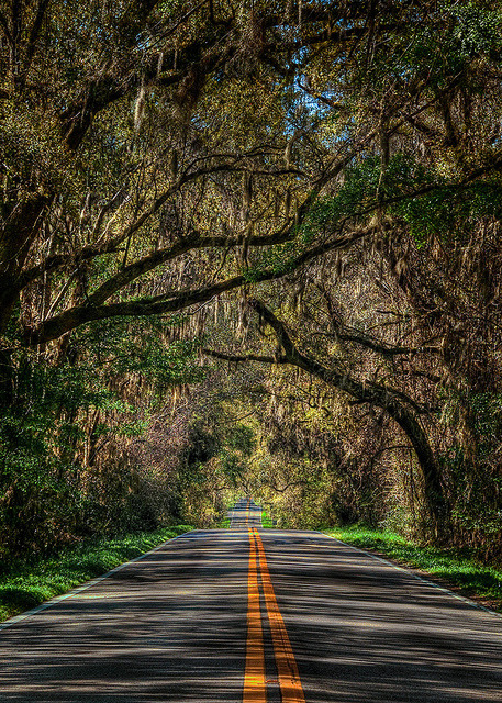 South on Meridian Road near Tallahassee, Florida, USA (by Scott S. Baxter).