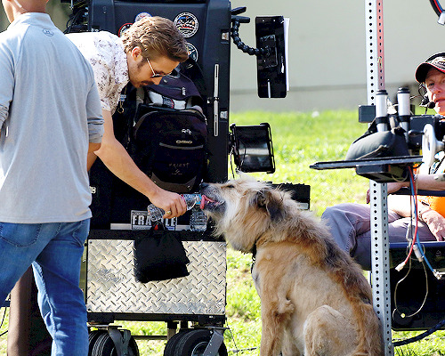 delevingned-deactivated20151023: Ryan Gosling and George on the set of “The Nice