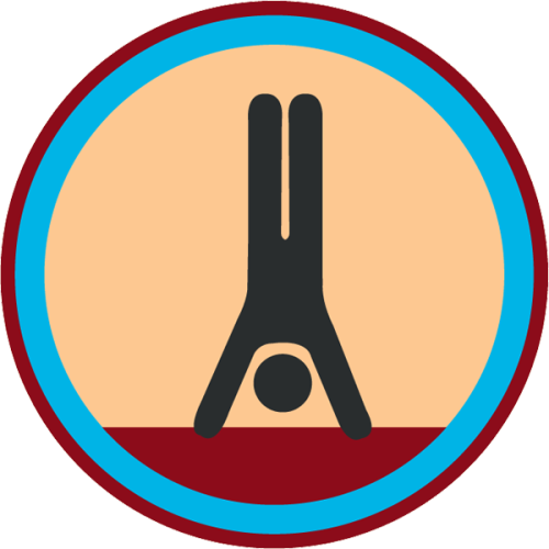 Lifescouts: Handstand BadgeIf you have this badge, reblog it and share your story;If not, go and wri