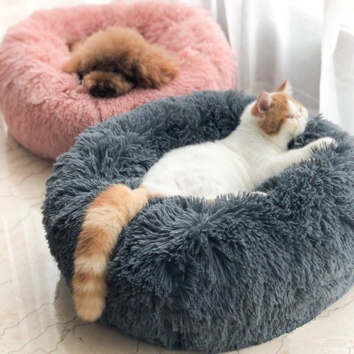 ihellofebruary: Cat Bed Sleeping Cushion Pet Bags Pet Automatic Dispenser Water BowlCheck out HERE20