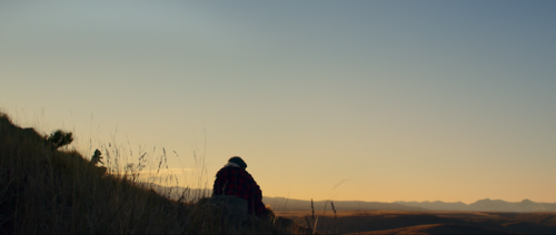 abbaskiarostami:  “Seem to remember it was a pretty beautiful place, was it?””Yeah… Majestical.“   Hunt for the Wilderpeople (2016) dir. Taika Waititi   