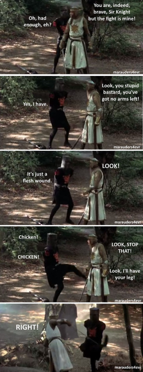 juicyj-caint:  rustlingpages:marauders4evr:It’s just a flesh wound.The single greatest scene in cinematic history.If you try to tell me you didn’t read those lines in those voices then you’re a LIAR  My favorite scene of any movie ever