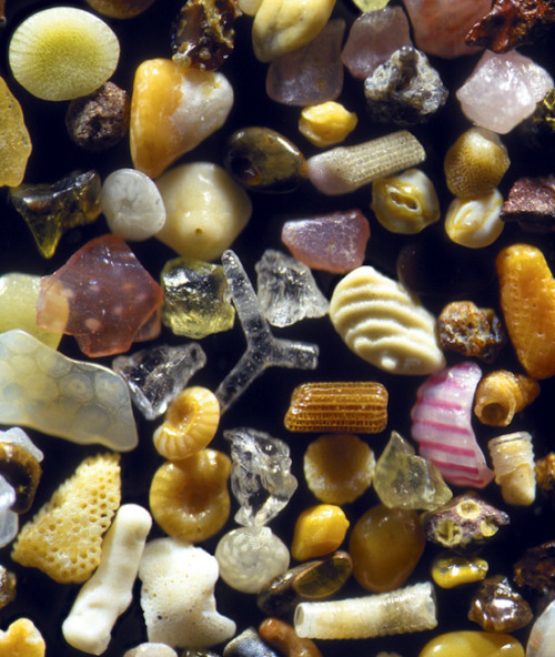 thesill:sand magnified via sandgrains.com 