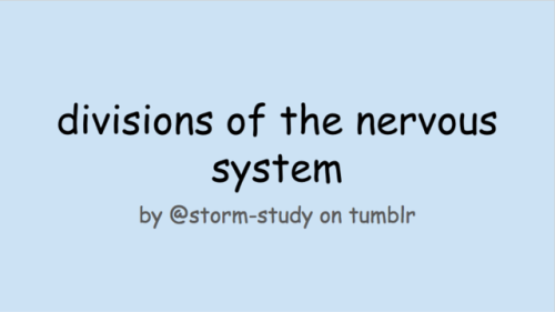 storm-study: A quick study guide of how the divisions of the nervous system are organised, and the s