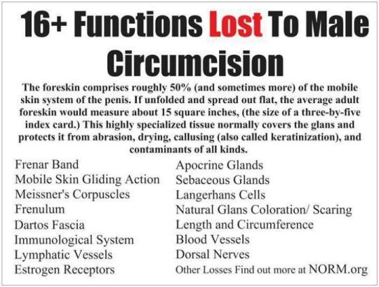 Porn photo CIRCUMCISION: This says it best