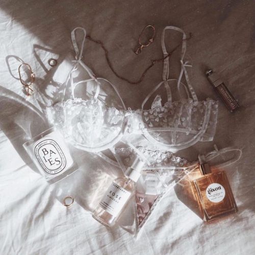 w-hitefawn:dainty things 🌼