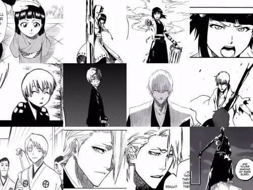 my-fanworks:Members of the Gotei throughout the years