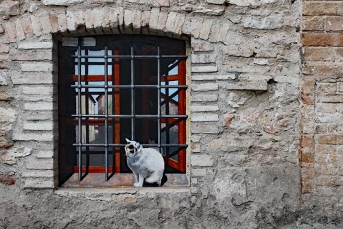 Street art, Assisi.